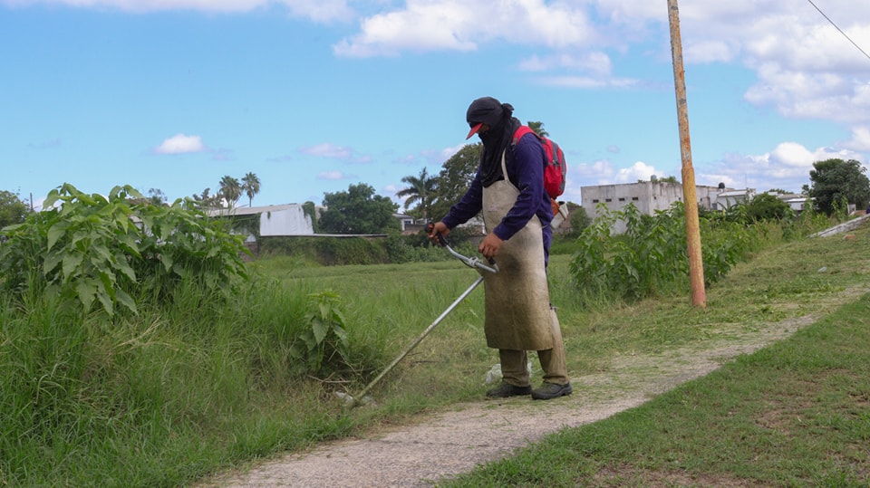 Barranqueras: mantenimiento de espacios verdes en la calle Miguel Cané y zona de la laguna
