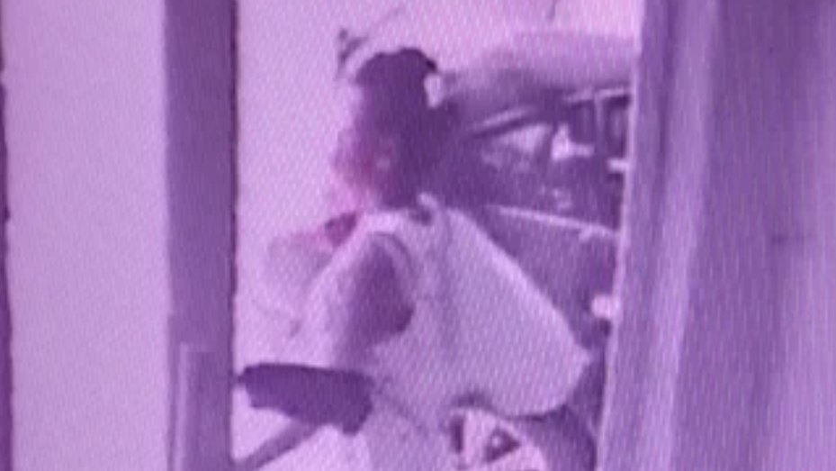 Detuvieron a la mujer que arrojó a su bebé en un contenedor