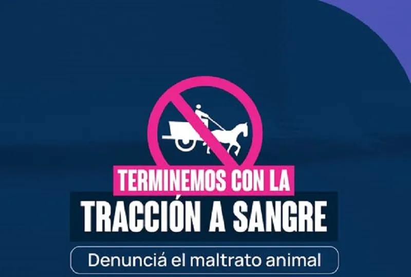 Impulsan la erradicación de la tracción a sangre en Resistencia