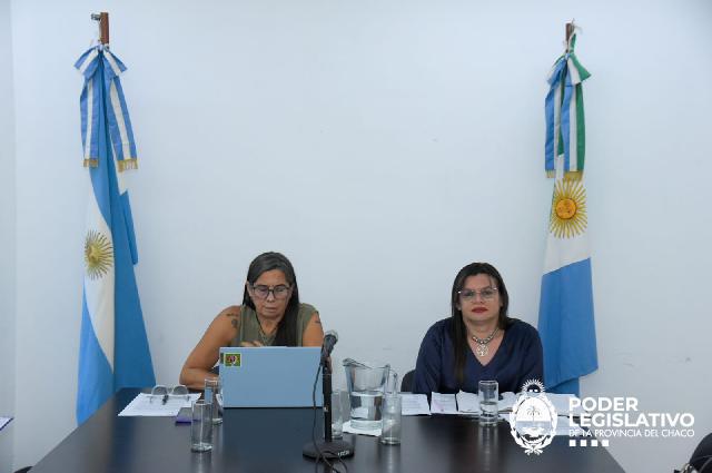 Ratificaron las autoridades en la Comisión de Genero, Diversidades, Familias y NNYA