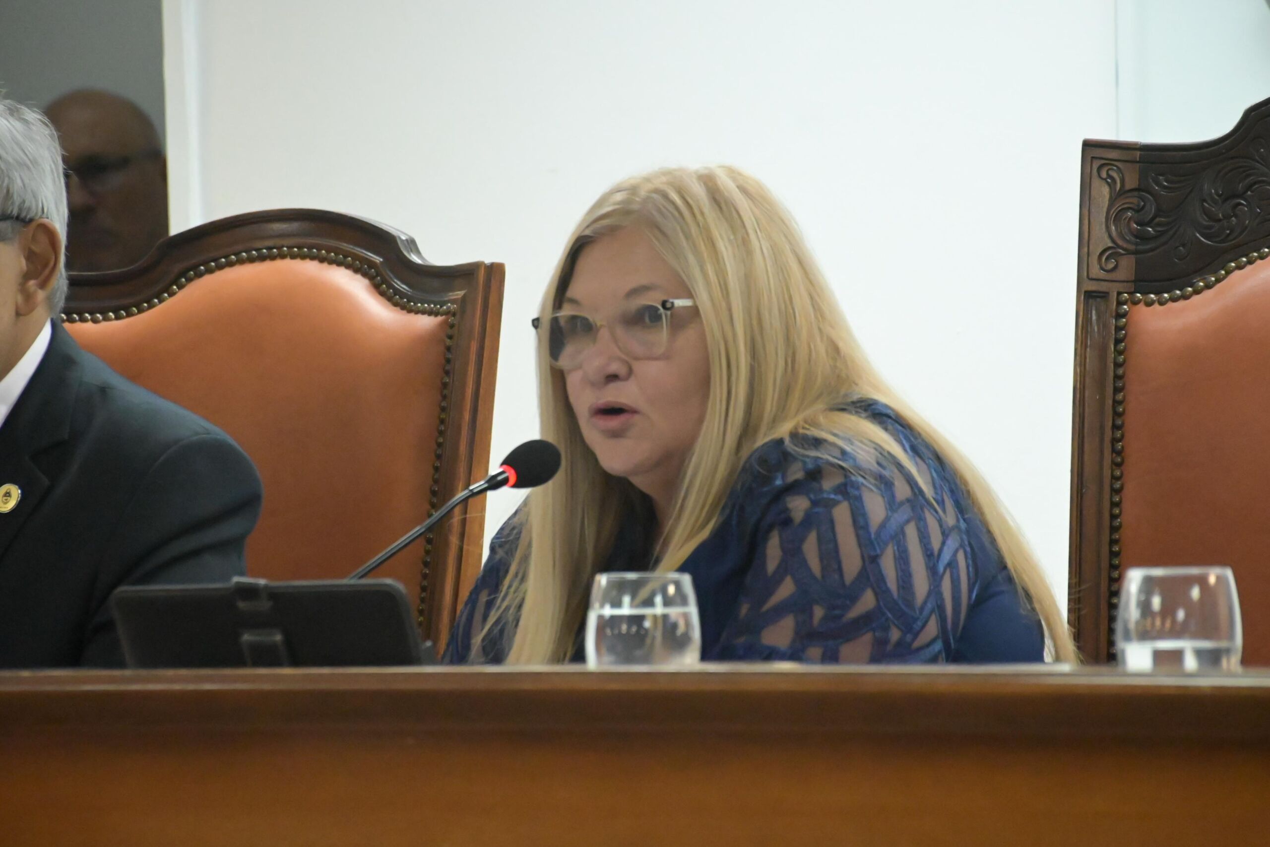 Delgado destacó la paridad de género en la elección del Defensor del Pueblo y su Adjunta
