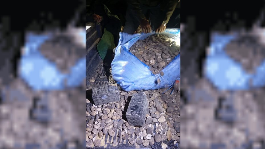 Jujuy: el perro antinarcóticos «Yin» halló 44 kilos de cocaína escondidos en bolsas de papas