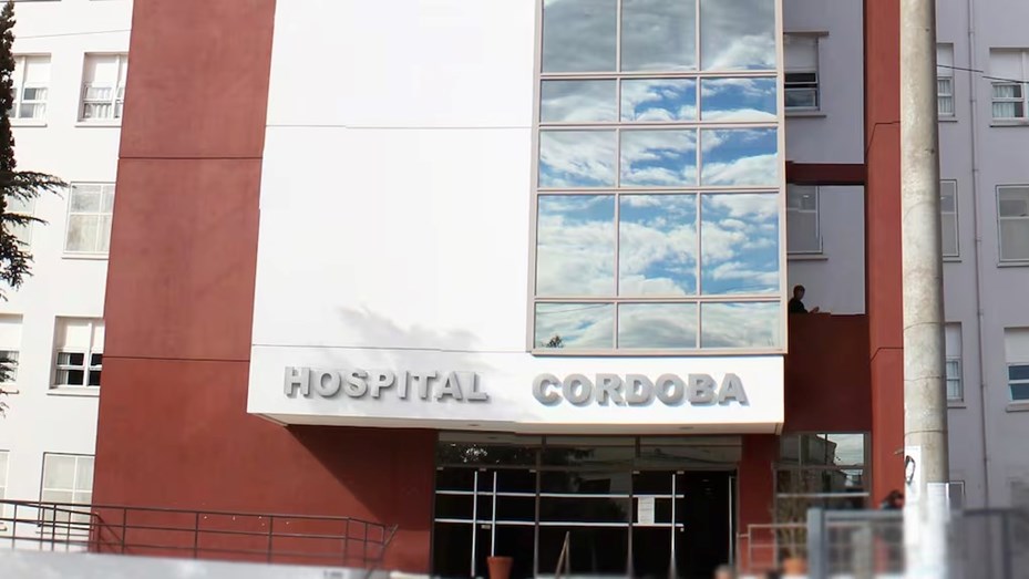 Un pitbull atacó a su dueña embarazada en Córdoba: lo sacrificaron