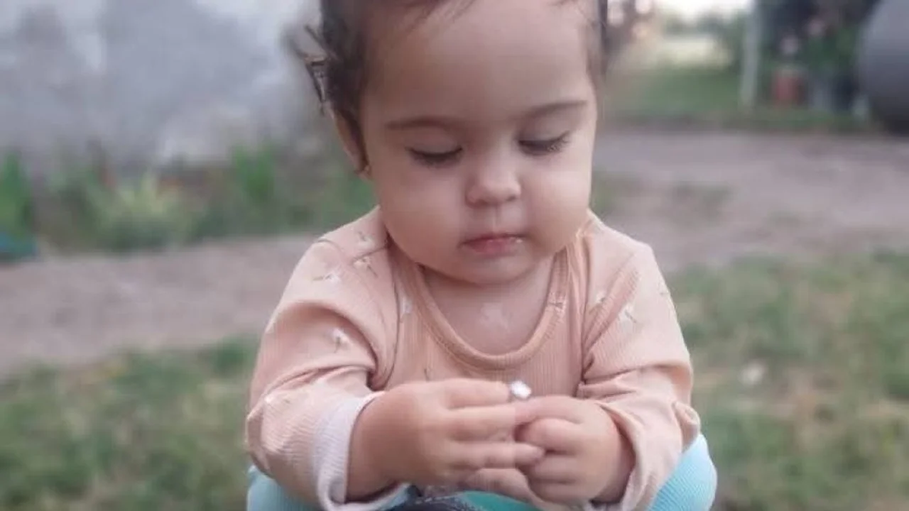 Investigan restos biológicos para confirmar si pertenecen a Delfina Hecker