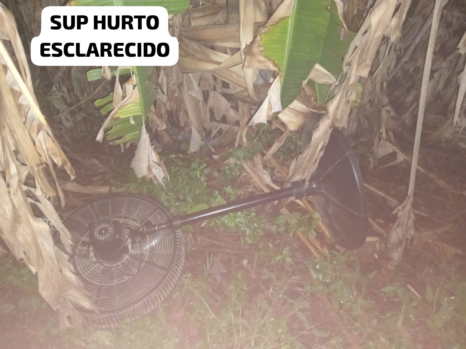 Basail: sustrajeron un ventilador y lo escondieron bajo un árbol