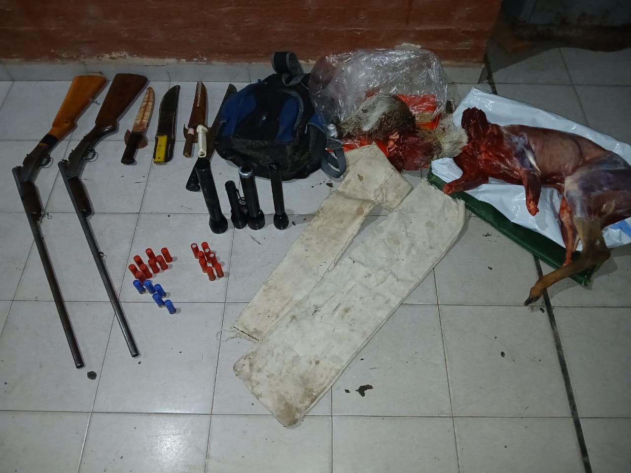 En un operativo secuestraron animales silvestres y detuvieron a cuatro hombres por caza ilegal