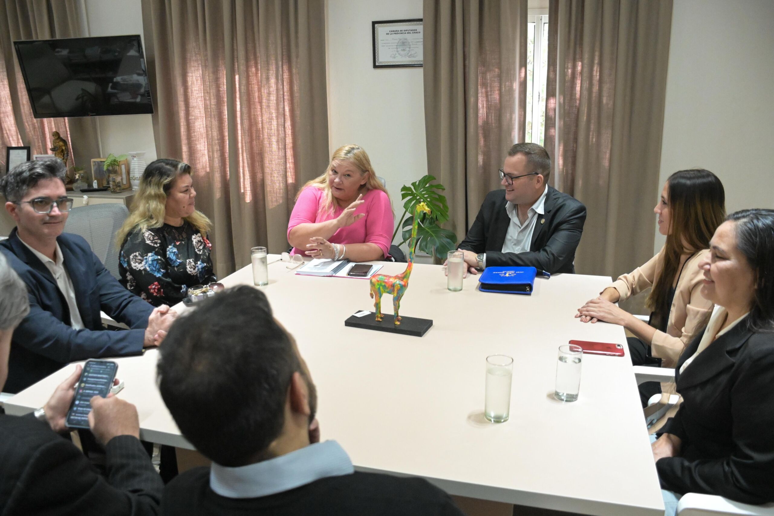 La presidente de la Legislatura recibió a los miembros del Colegio de Abogados para unificar trabajos en conjunto