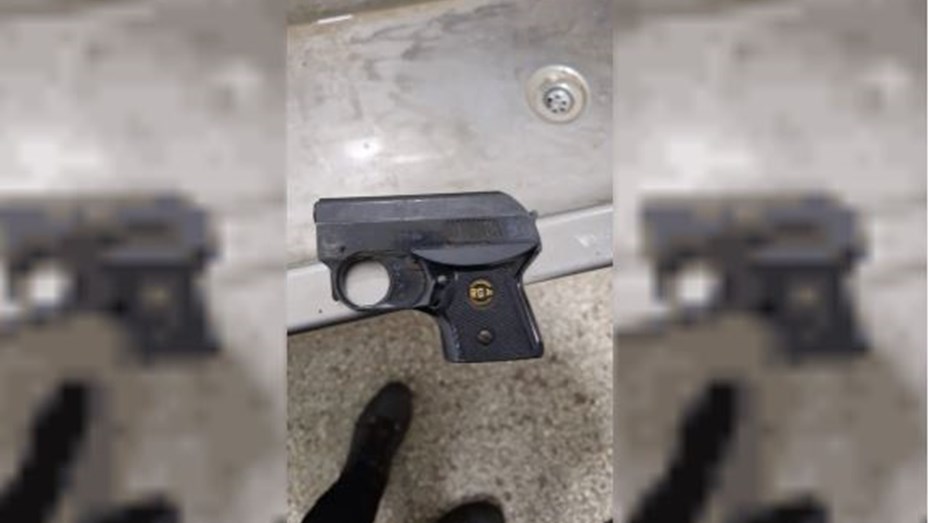 Pánico en Mar del Plata: un estudiante fue con un arma de fuego a la escuela