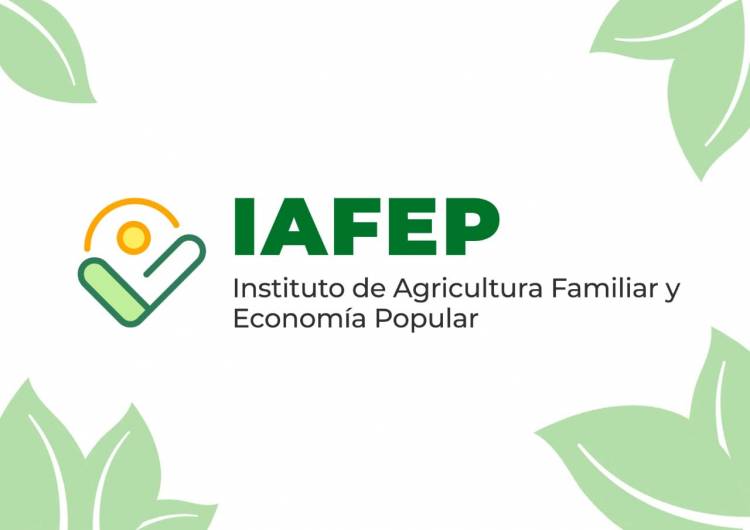 Fondos fantasmas: «El IAFEP desvió más de 800 millones sin control»