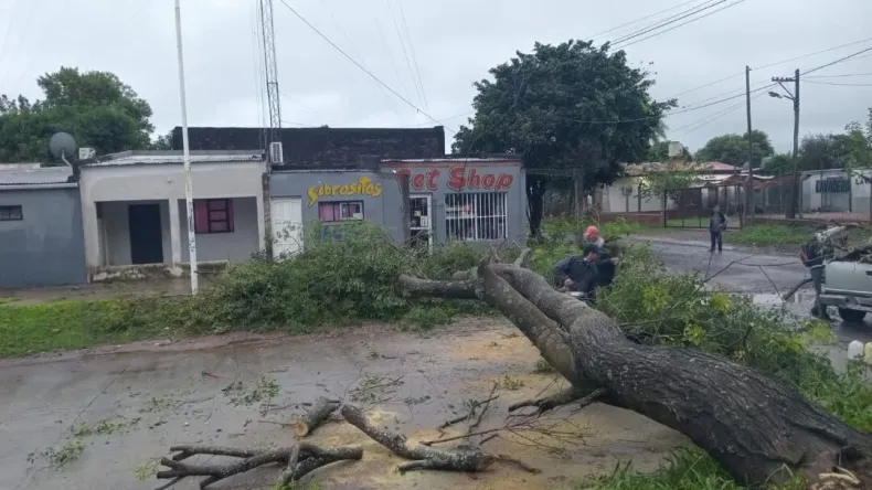 Fontana refuerza tareas de mantenimiento urbano para prevenir anegamientos