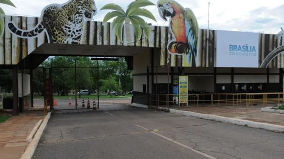Brasilia cierra el zoológico y despliega una barrera sanitaria preventiva ante la gripe aviar