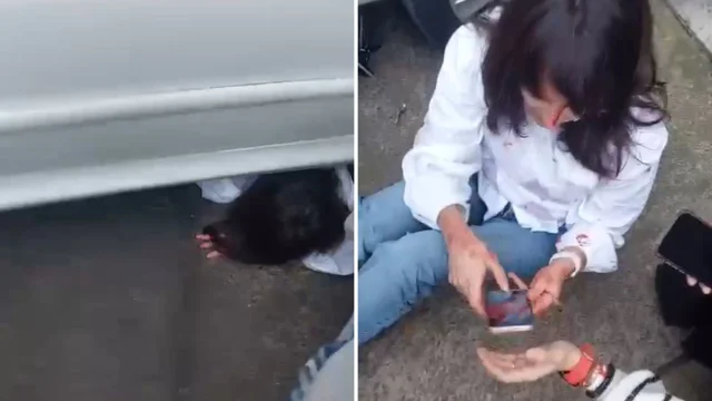 (Video) La Plata: una mujer fue atropellada por su propio auto tras olvidar poner el freno de mano