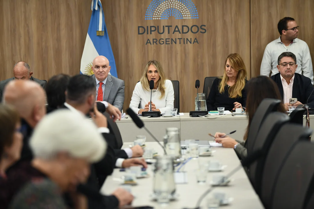 Jubilaciones: diputados opositores buscan acuerdos sobre la extensión de la moratoria previsional