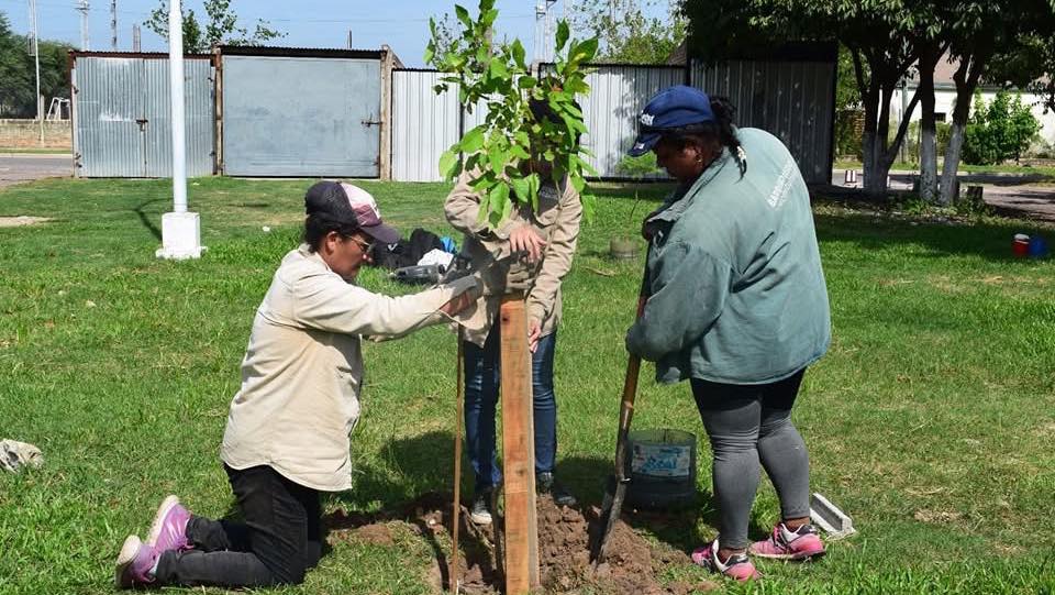 Barranqueras reafirma su compromiso ambiental con múltiples acciones sostenibles