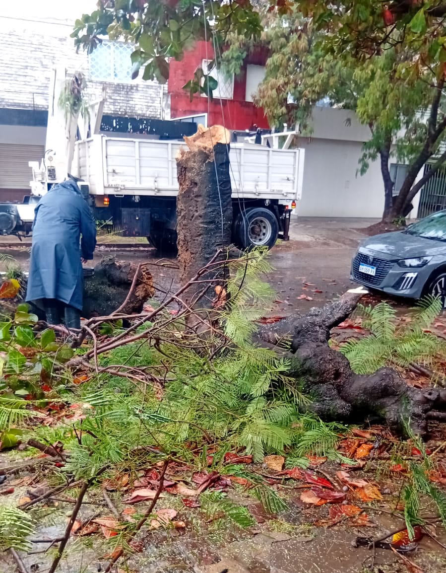Cuadrillas comunales trabajaron durante el temporal y se mantiene el alerta en Resistencia