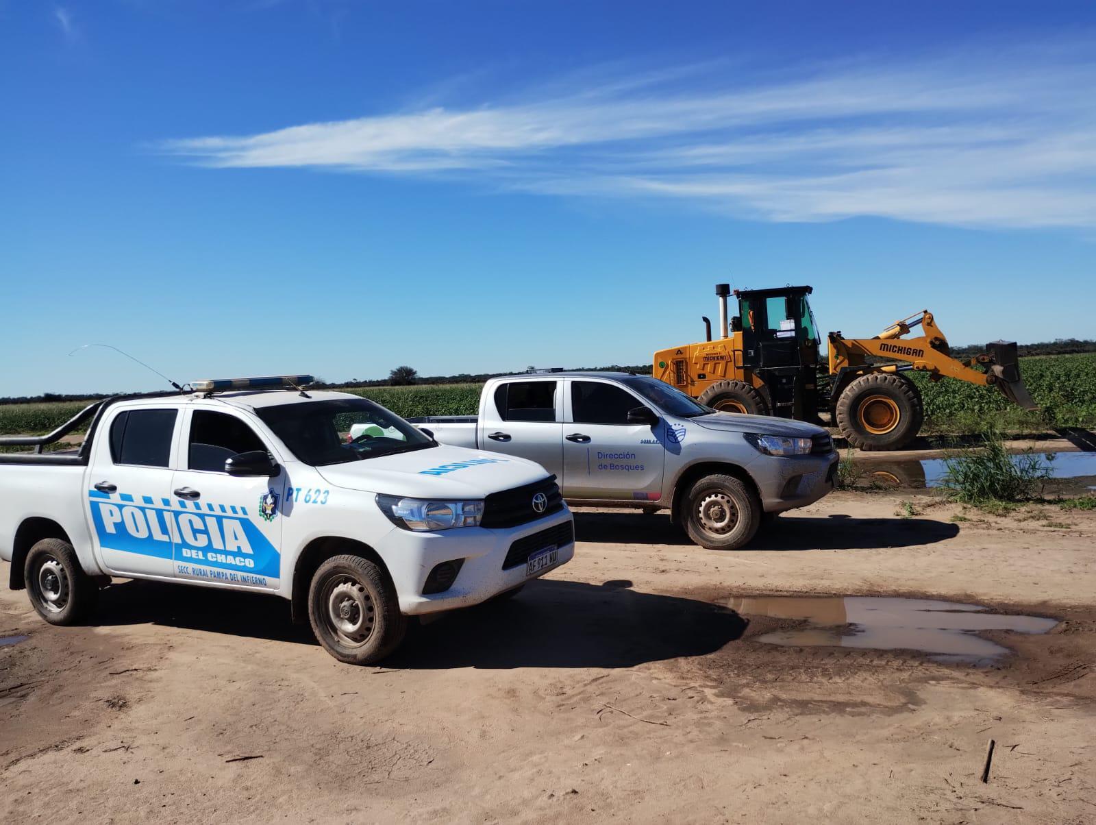 Nueva intervención de la Dirección de Bosques frenó otro desmonte ilegal