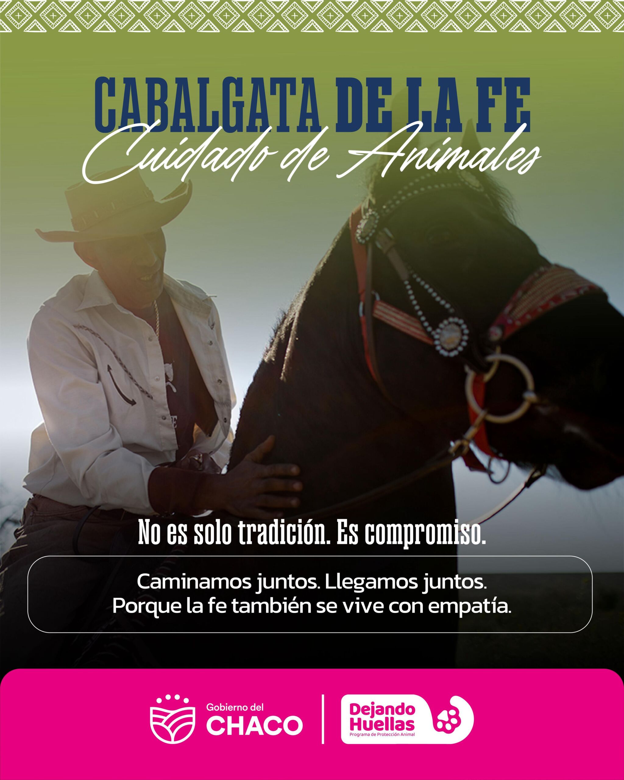 Protección animal en la Cabalgata de la Fe: 15 veterinarios acompañarán todo el recorrido