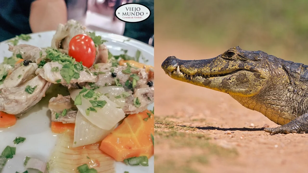 El descarado posteo del bodegón que vendía carne de yacaré: “Para los que se animan a probar algo distinto”
