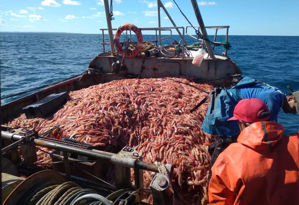 El conflicto del langostino se agrava: tensión gremial, violencia y exportaciones frenadas