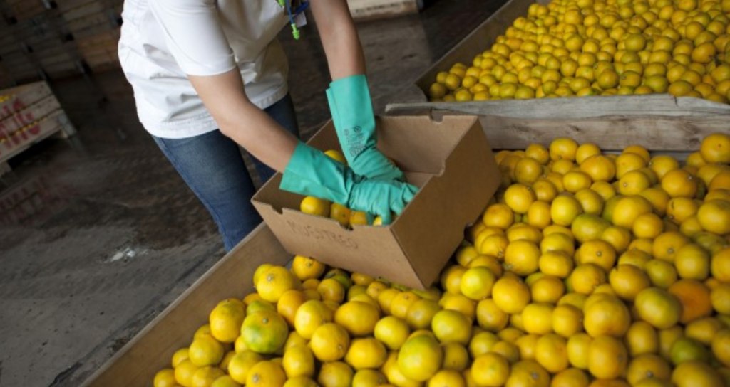 Los limones argentinos consiguen nuevo mercado pero a la carne se le cierran puertas