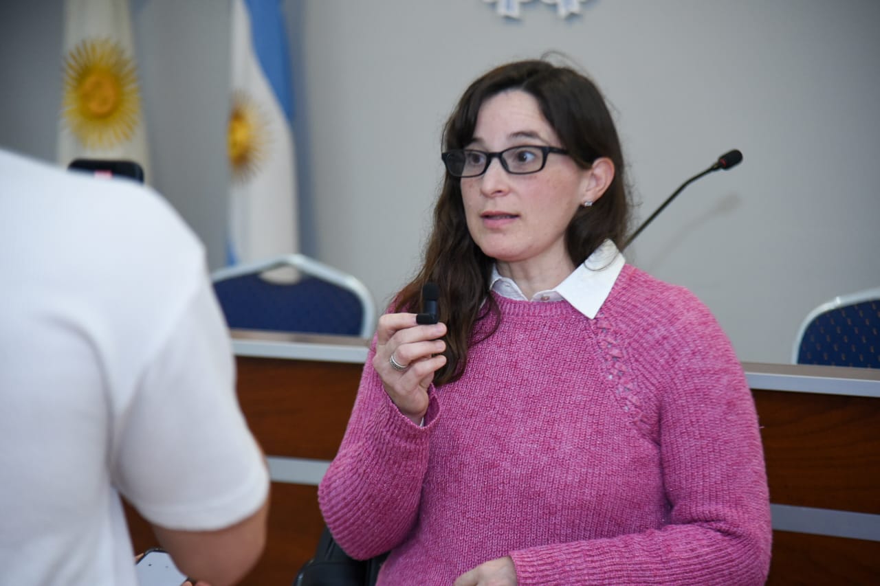 Conversatorio en el Poder Legislativo sobre el ejercicio profesional de la puericultura