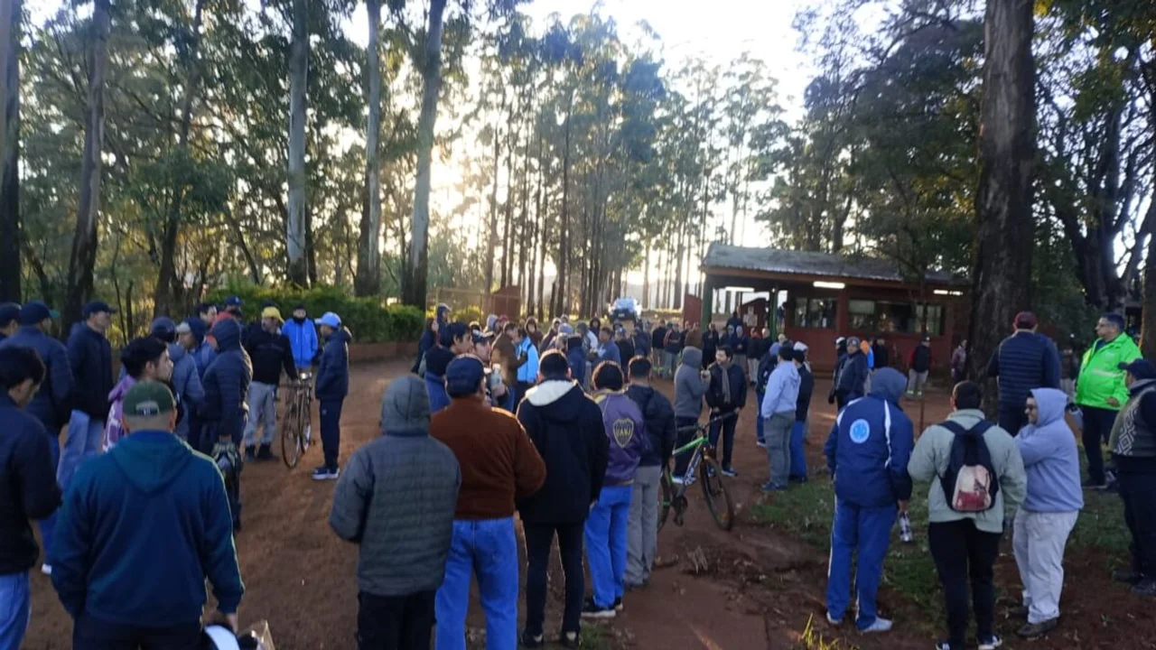 Suspenden a 520 trabajadores madereros en Virasoro por cierre de planta forestal