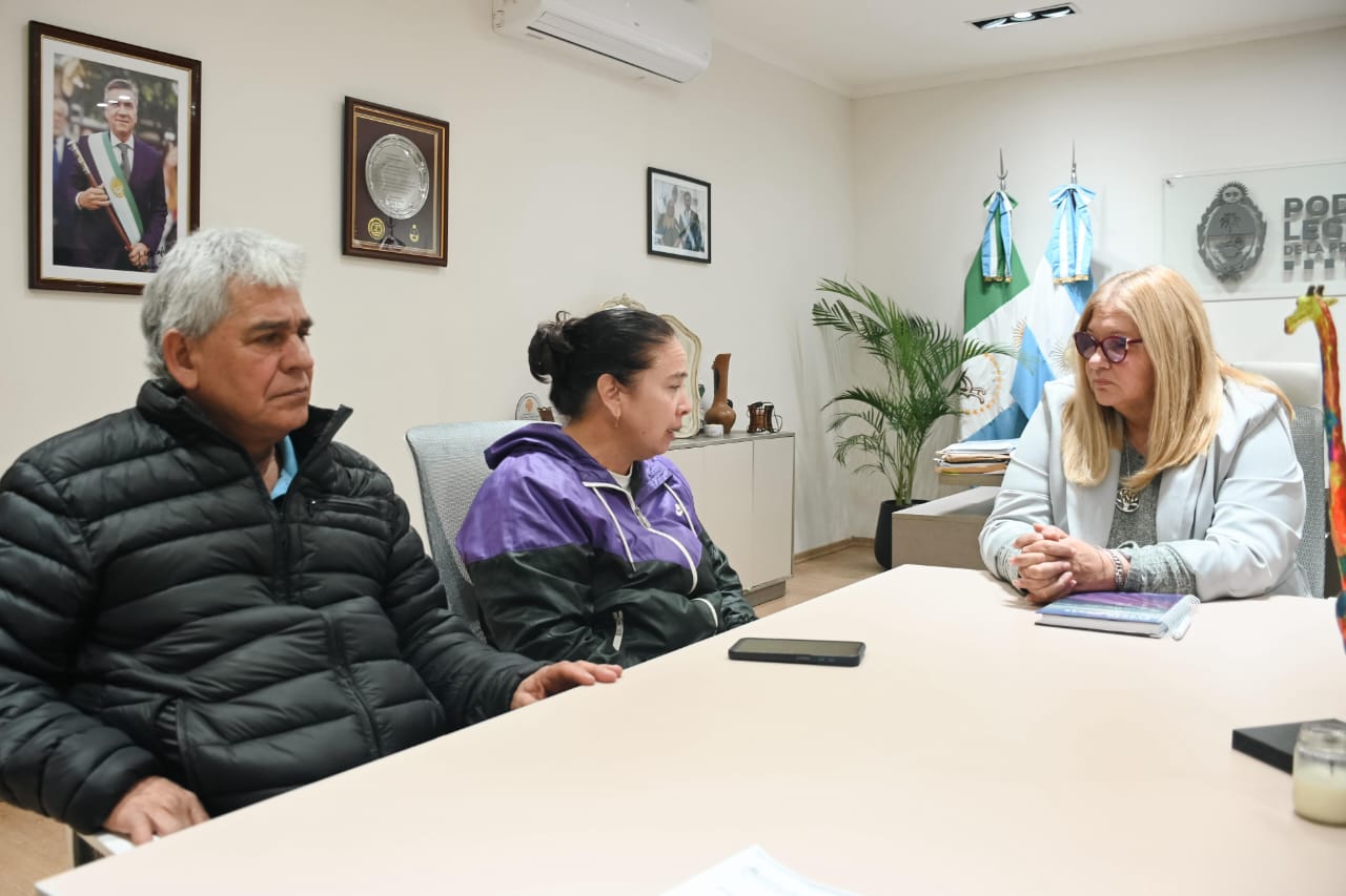Delgado recibió a representantes del Colegio de Kinesiólogos del Chaco
