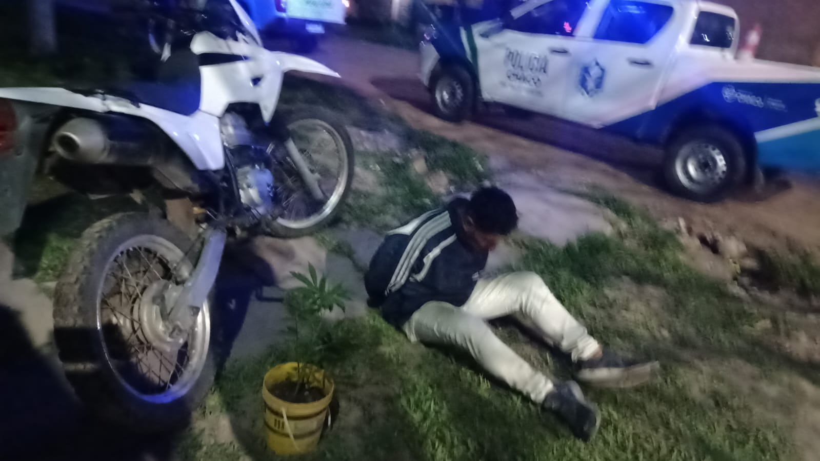 Detuvieron a un hombre con una planta de marihuana en Resistencia