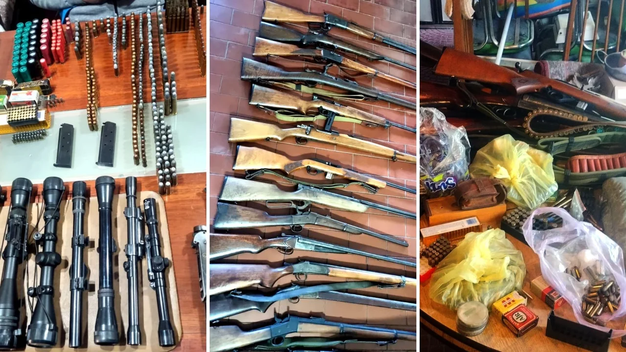 Encontraron un arsenal durante un allanamiento por violencia de género en Lugano