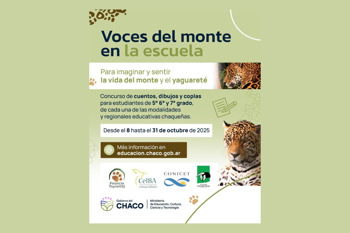 Lanzan concurso escolar para crear dibujos, cuentos y coplas sobre el Yaguareté y el monte chaqueño