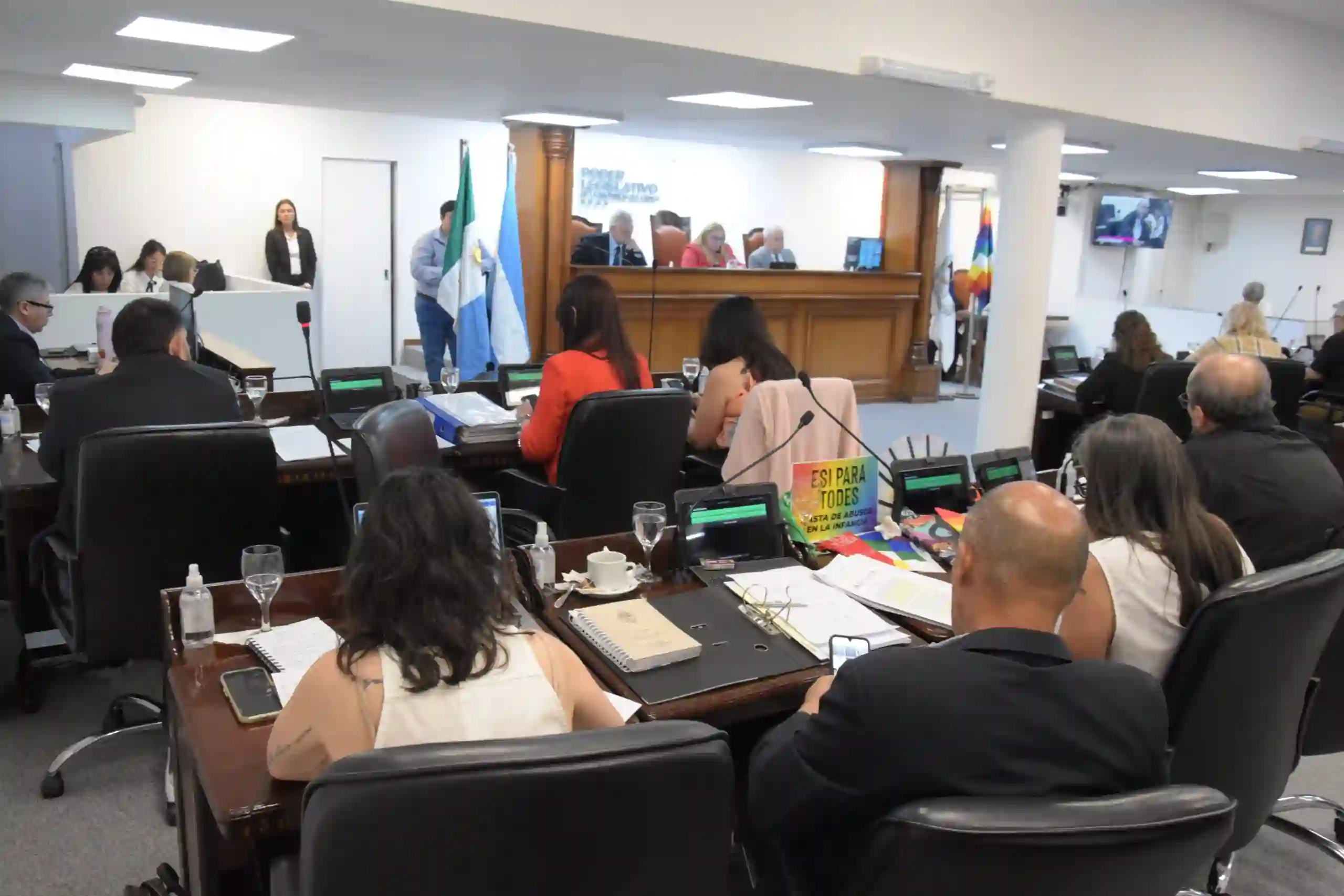 La Legislatura modificó la conformación del Fondo de Alta Complejidad del InSSSeP