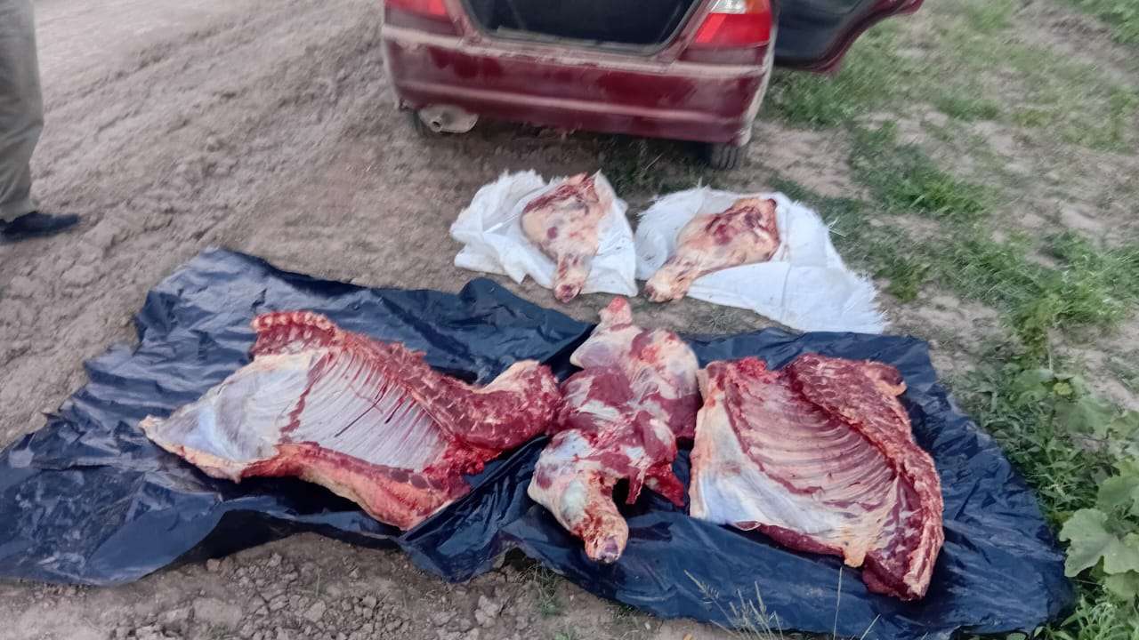 Empleado desleal fue detenido por una faena ilegal