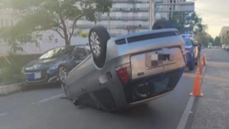 Intentó espantar a una avispa mientras manejaba, perdió el control y volcó con su auto