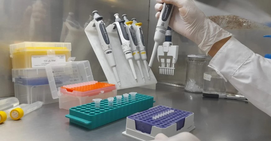 Brasil investiga a una científica argentina acusada de robar un virus en un laboratorio restringido