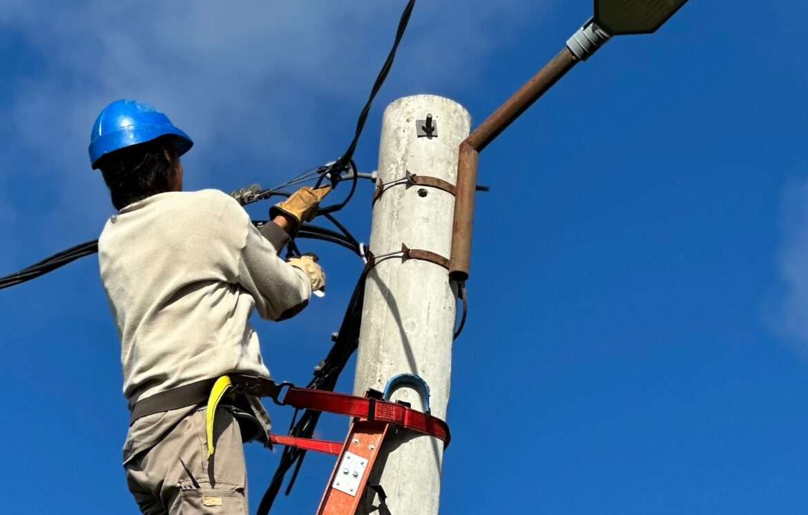 Operativo antifraude: Secheep eliminó tendidos clandestinos en Resistencia