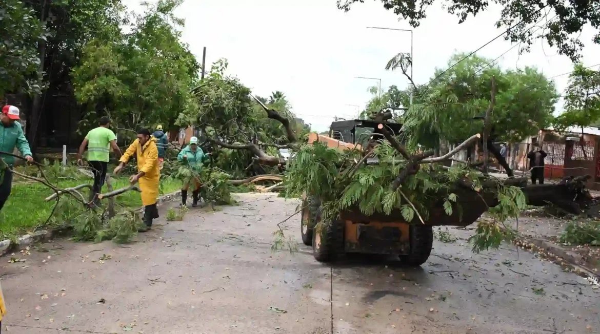 Resistencia: cayeron 50 milímetros y no se registraron mayores inconvenientes en las calles
