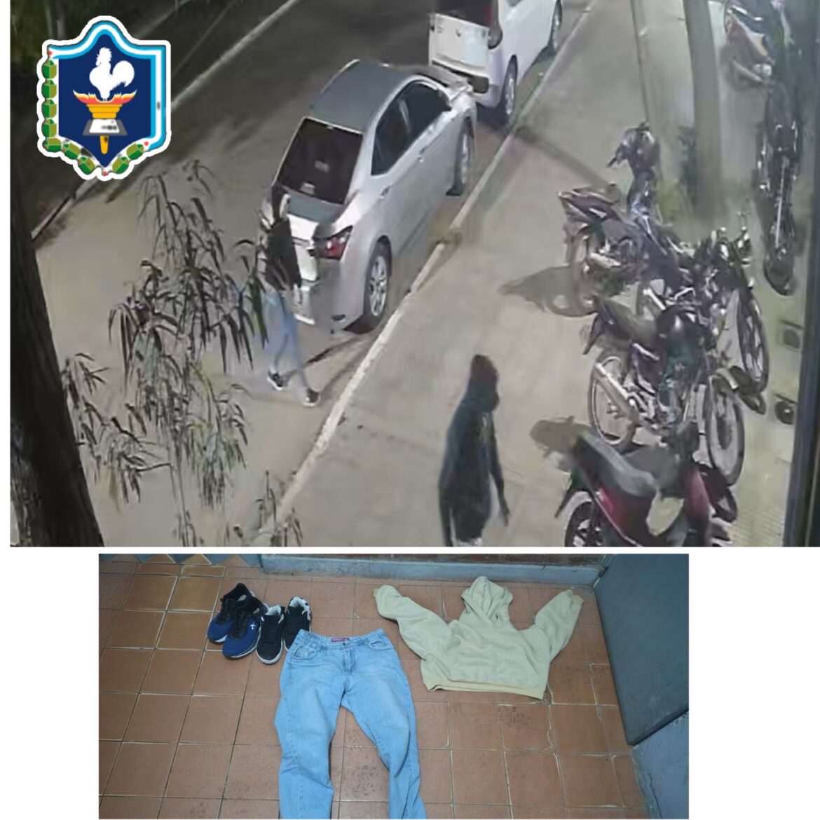 Fontana: el Servicio Externo esclareció el hurto de una motocicleta y detuvo a los presuntos autores